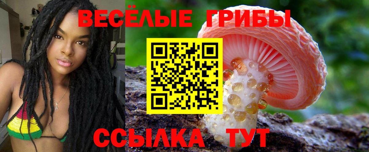 Узловая  Псилоцибиновые грибы мицелий  Вход с VPN 