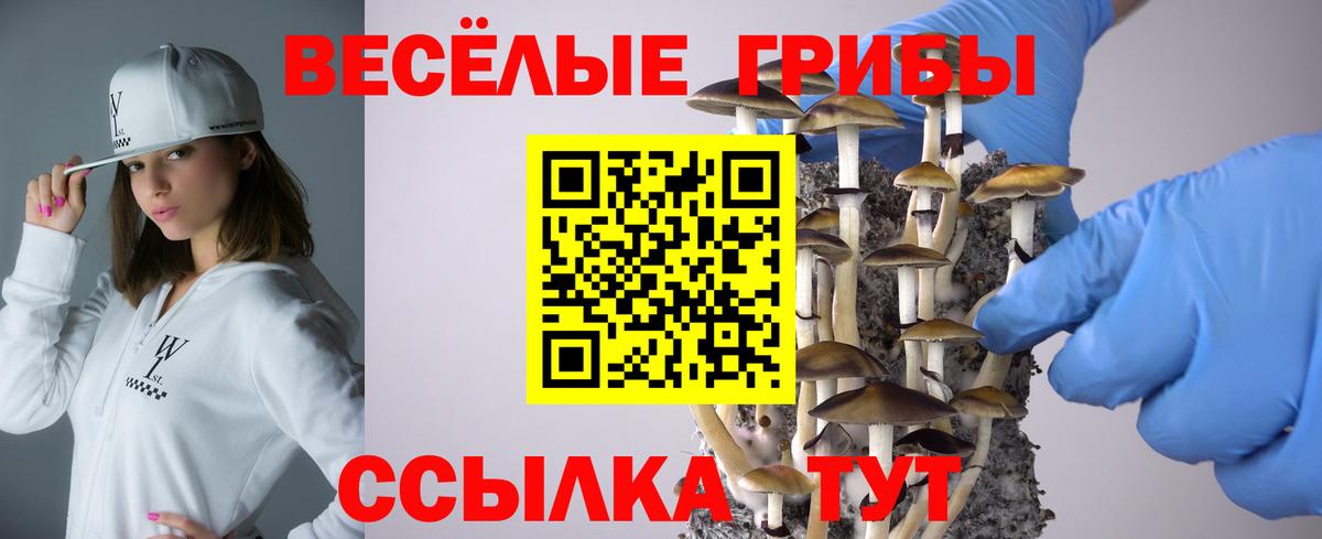 Галлюциногенные грибы ЛСД Узловая